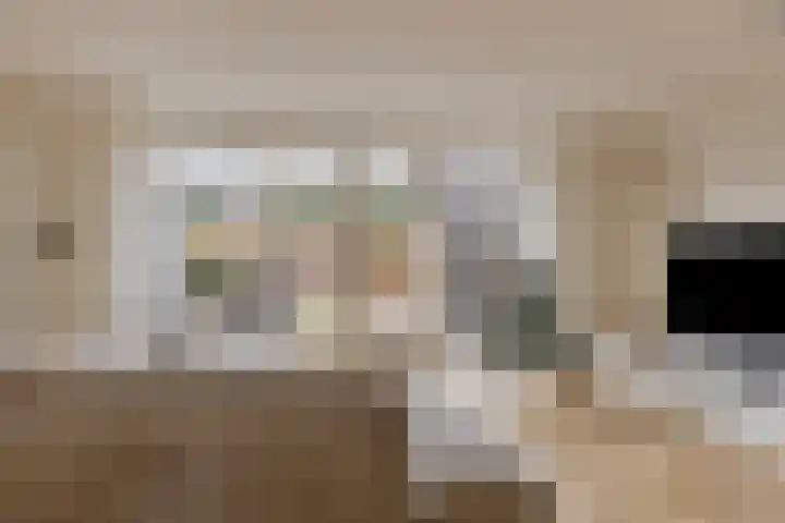 Hilsondusstraat 25 Strijen thumbnail 10