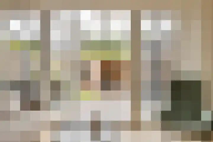 Hilsondusstraat 25 Strijen thumbnail 11