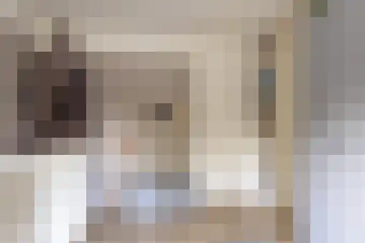 Hilsondusstraat 25 Strijen thumbnail 25