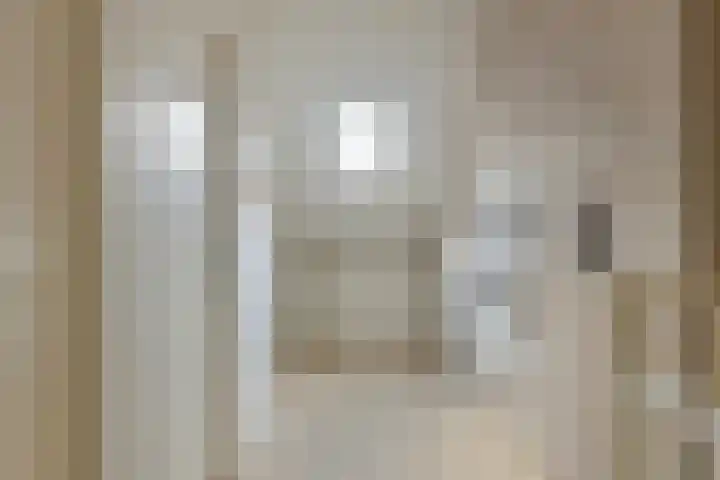 Hilsondusstraat 25 Strijen thumbnail 27