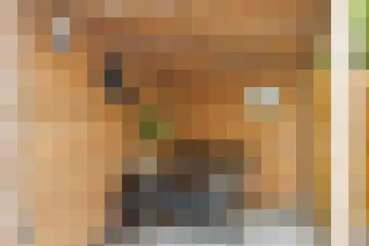Hilsondusstraat 25 Strijen thumbnail 33