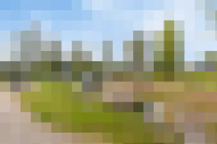 Hilsondusstraat 25 Strijen thumbnail 34