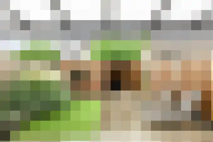 Hilsondusstraat 25 Strijen thumbnail 5