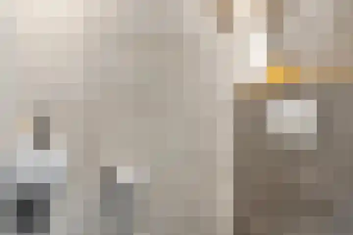 Hilsondusstraat 25 Strijen thumbnail 9