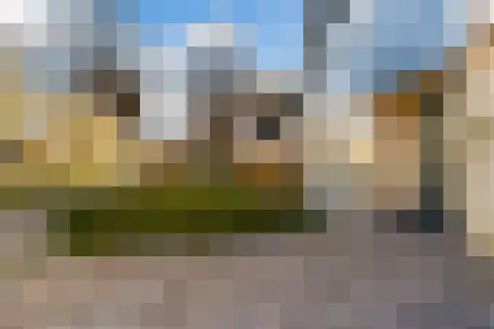 Hilsondusstraat 42 Strijen thumbnail 14