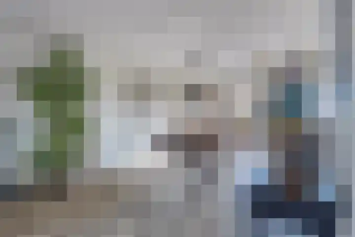 Hilsondusstraat 42 Strijen thumbnail 23