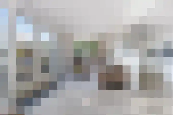 Hilsondusstraat 42 Strijen thumbnail 26
