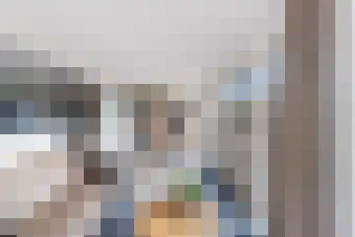 Hilsondusstraat 42 Strijen thumbnail 27