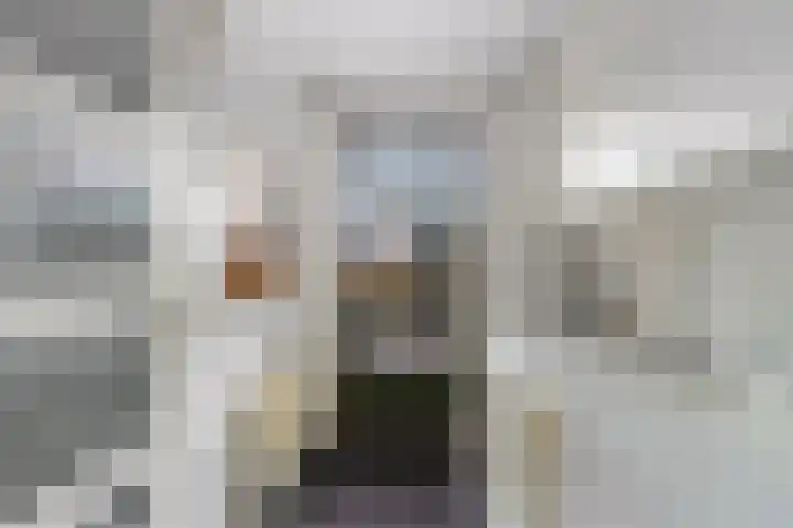Hilsondusstraat 42 Strijen thumbnail 31
