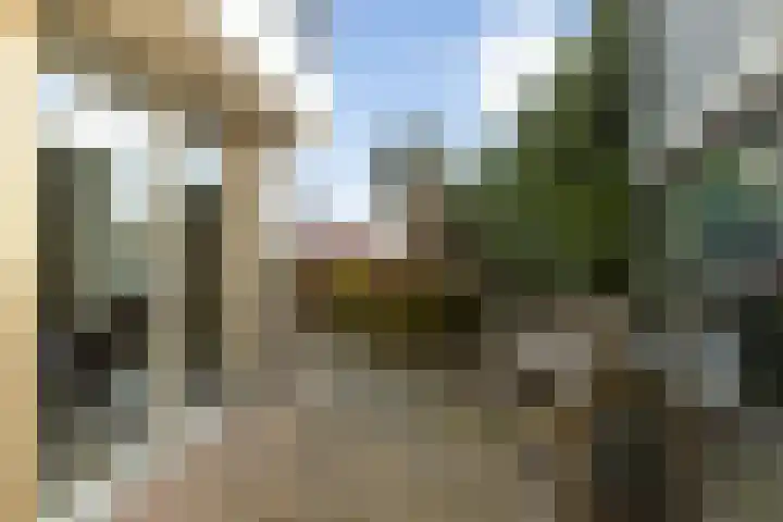 Hilsondusstraat 42 Strijen thumbnail 49
