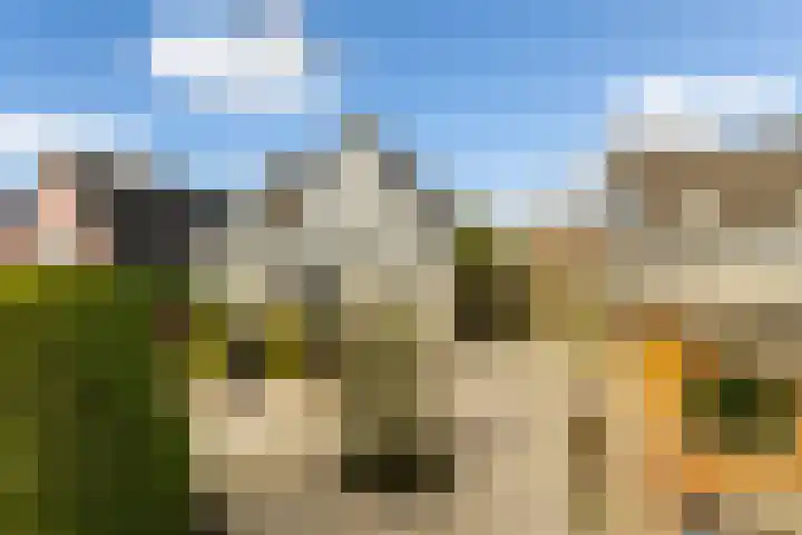 Hilsondusstraat 42 Strijen thumbnail 5