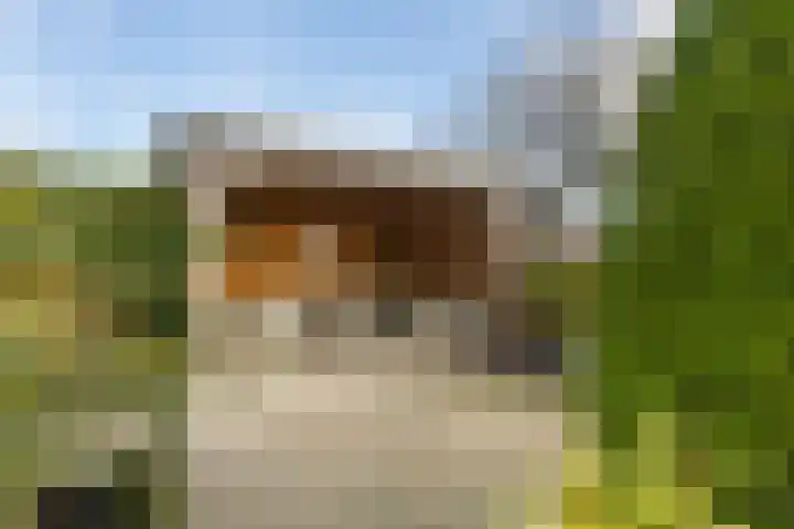 Hilsondusstraat 42 Strijen thumbnail 54