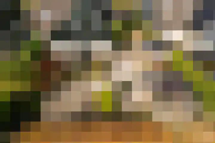 Hilsondusstraat 42 Strijen thumbnail 62