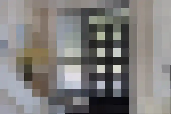 Hilstraat 3 Oude-Tonge thumbnail 10