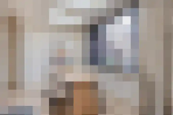 Hilstraat 3 Oude-Tonge thumbnail 13