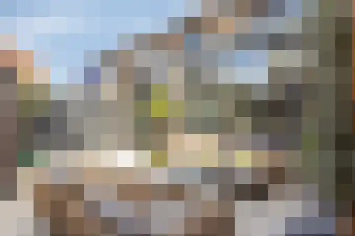 Hilstraat 3 Oude-Tonge thumbnail 30
