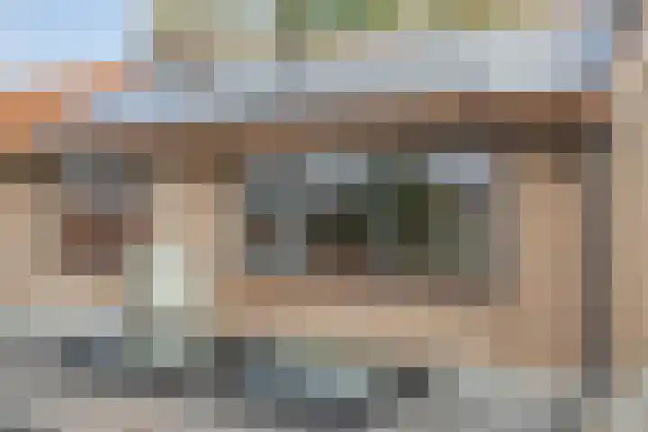 Hilstraat 3 Oude-Tonge thumbnail 32