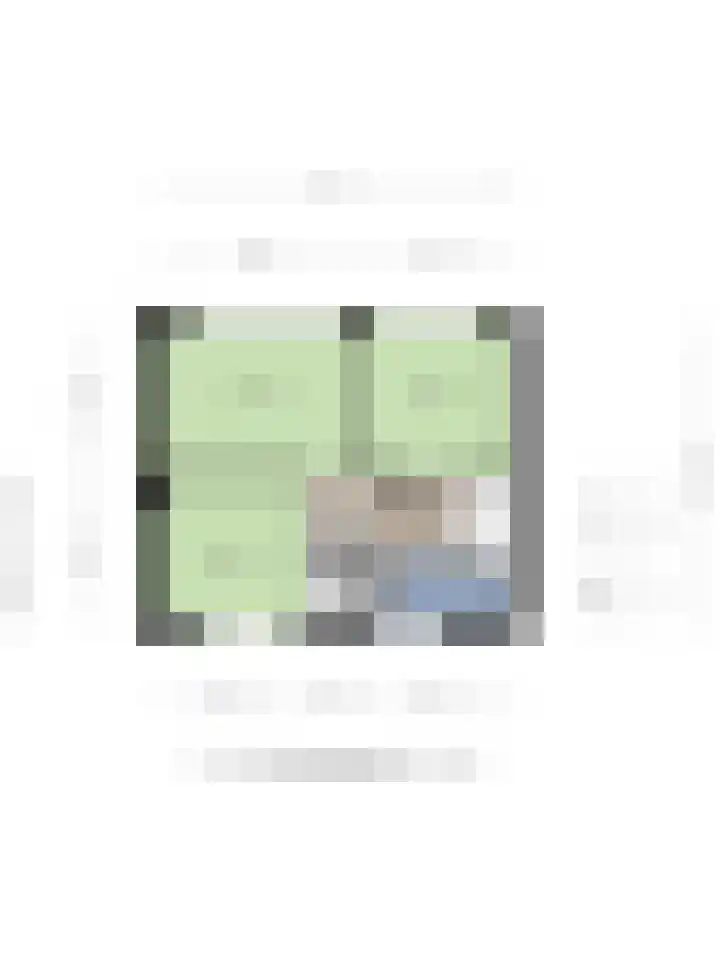 Hilstraat 3 Oude-Tonge thumbnail 37