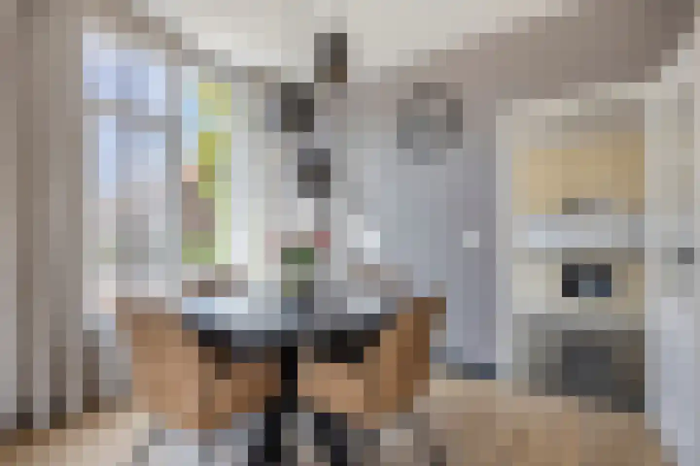 Hilstraat 6 Oude-Tonge thumbnail 15