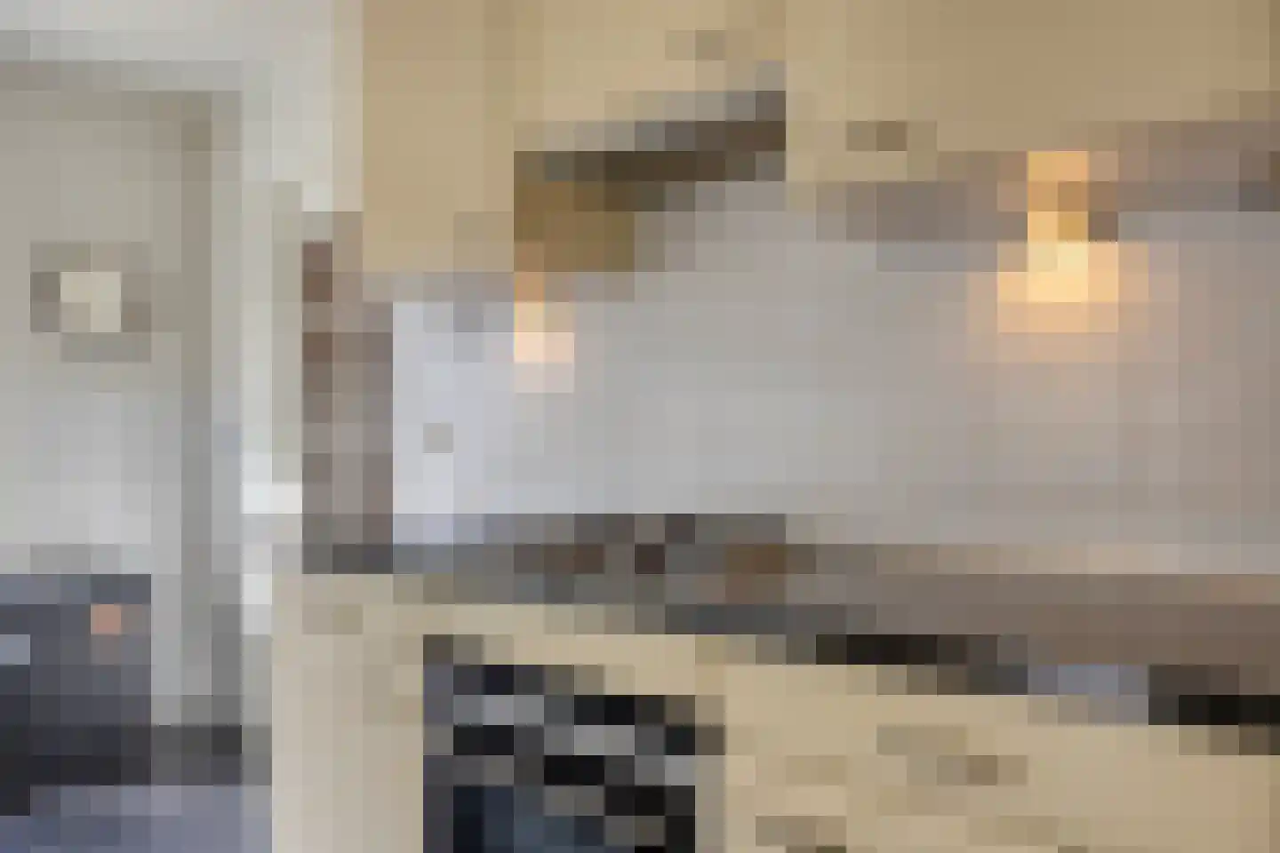 Hilstraat 6 Oude-Tonge thumbnail 18