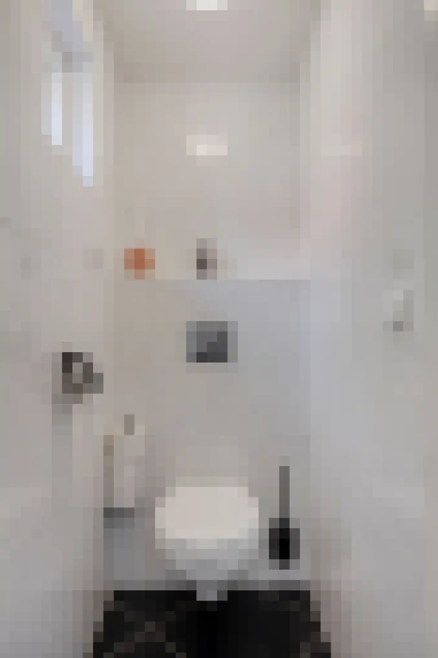 Hilstraat 6 Oude-Tonge thumbnail 19
