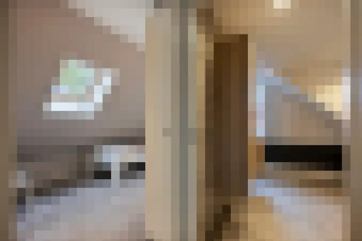 Hilstraat 6 Oude-Tonge thumbnail 30