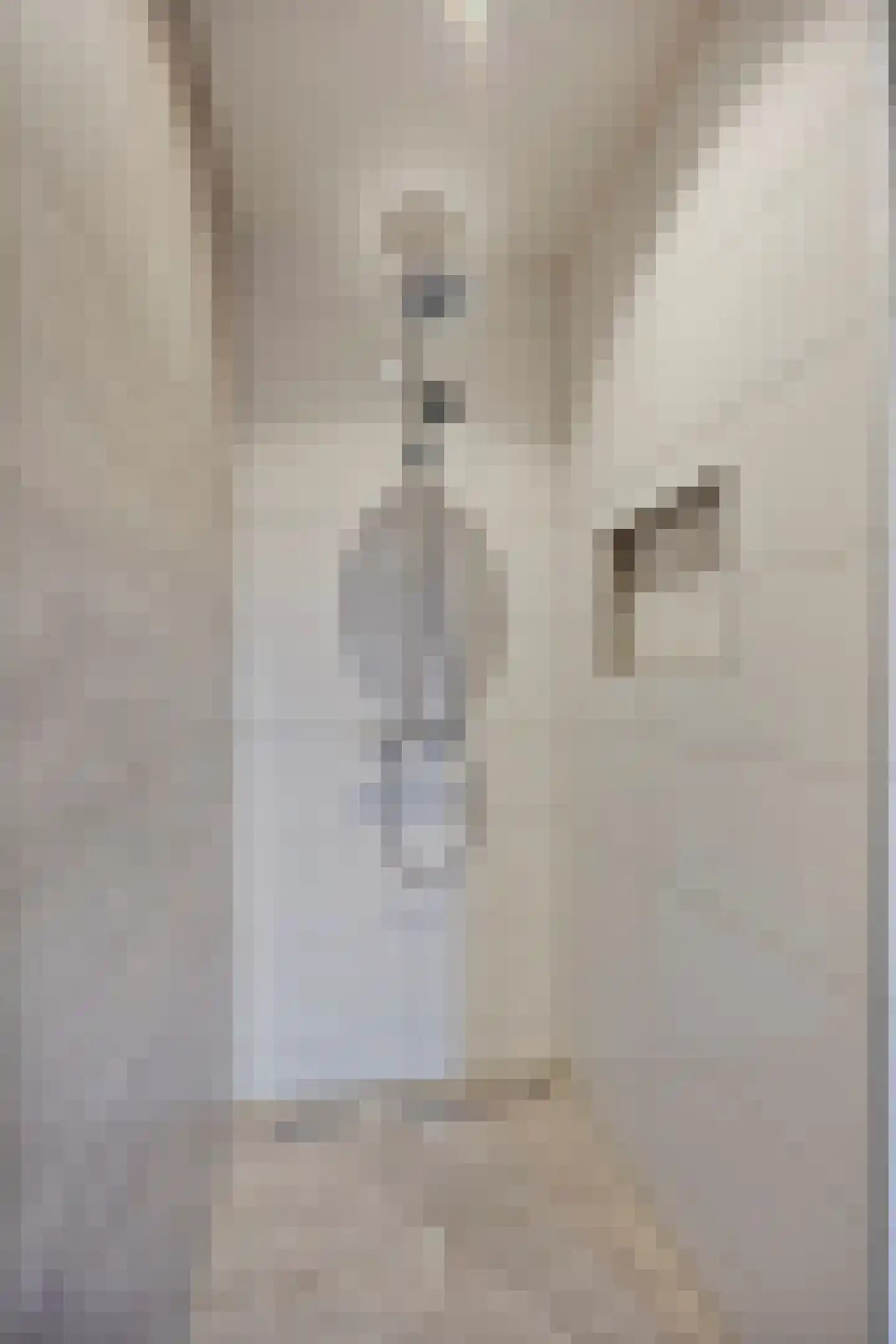 Hilstraat 6 Oude-Tonge thumbnail 31
