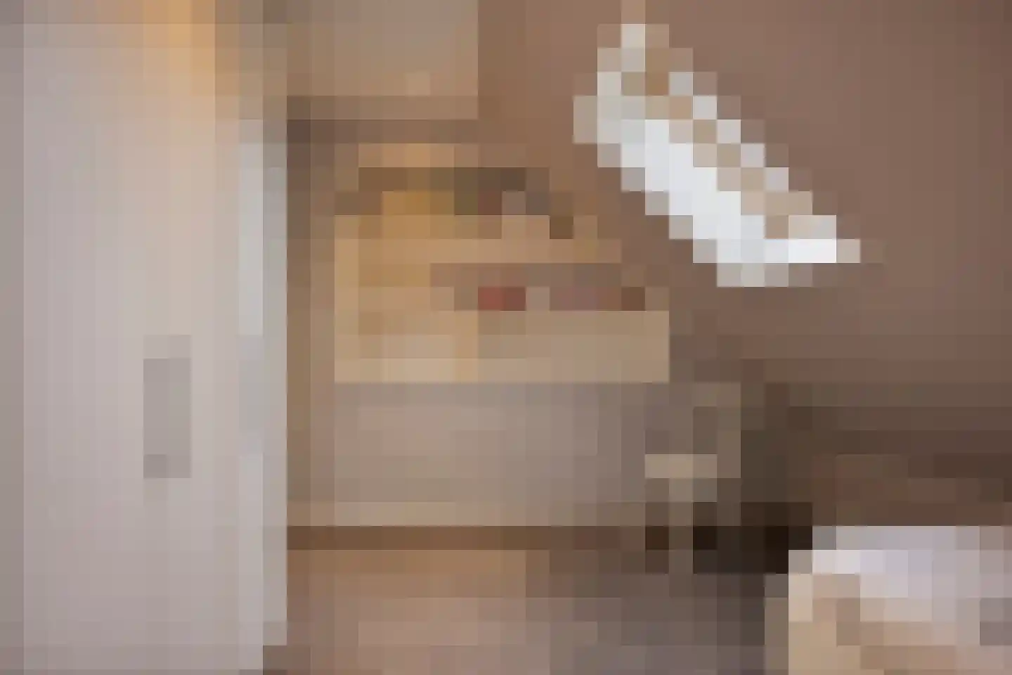 Hilstraat 6 Oude-Tonge thumbnail 36