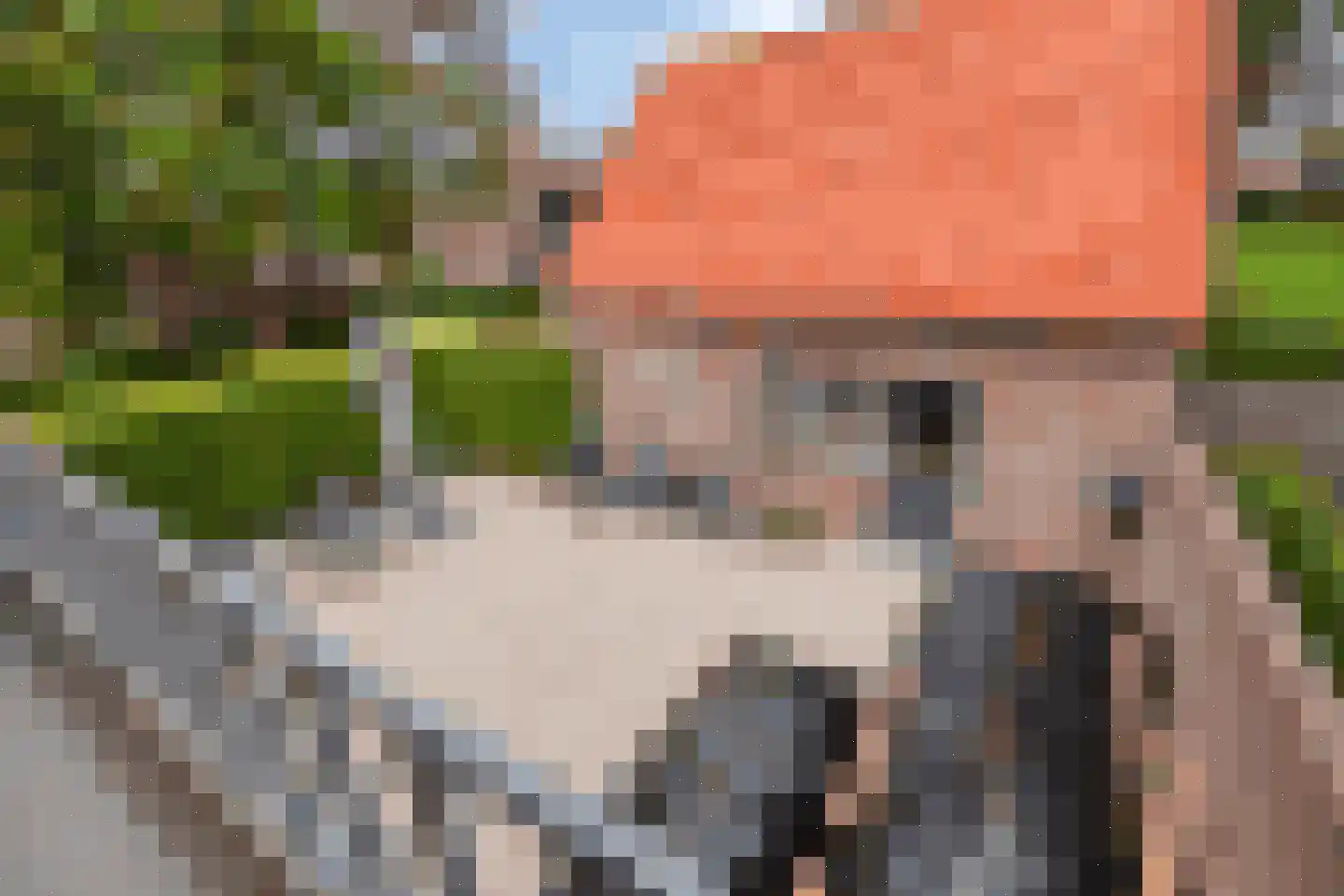Hilstraat 6 Oude-Tonge thumbnail 38