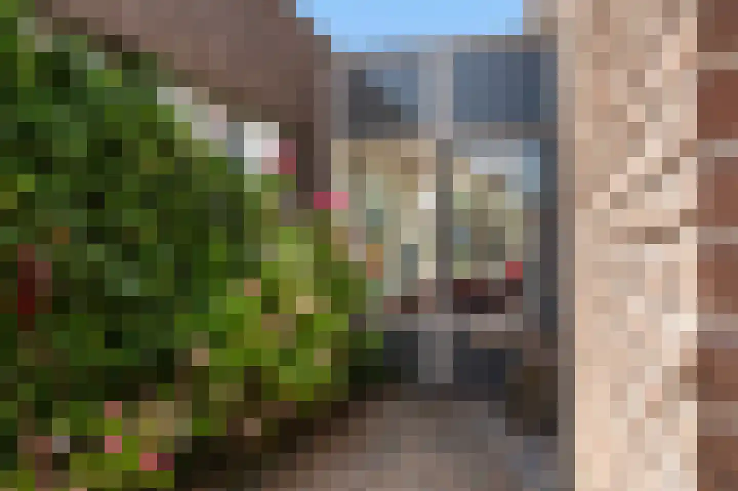 Hiltjesdamhof 16 Goor thumbnail 10
