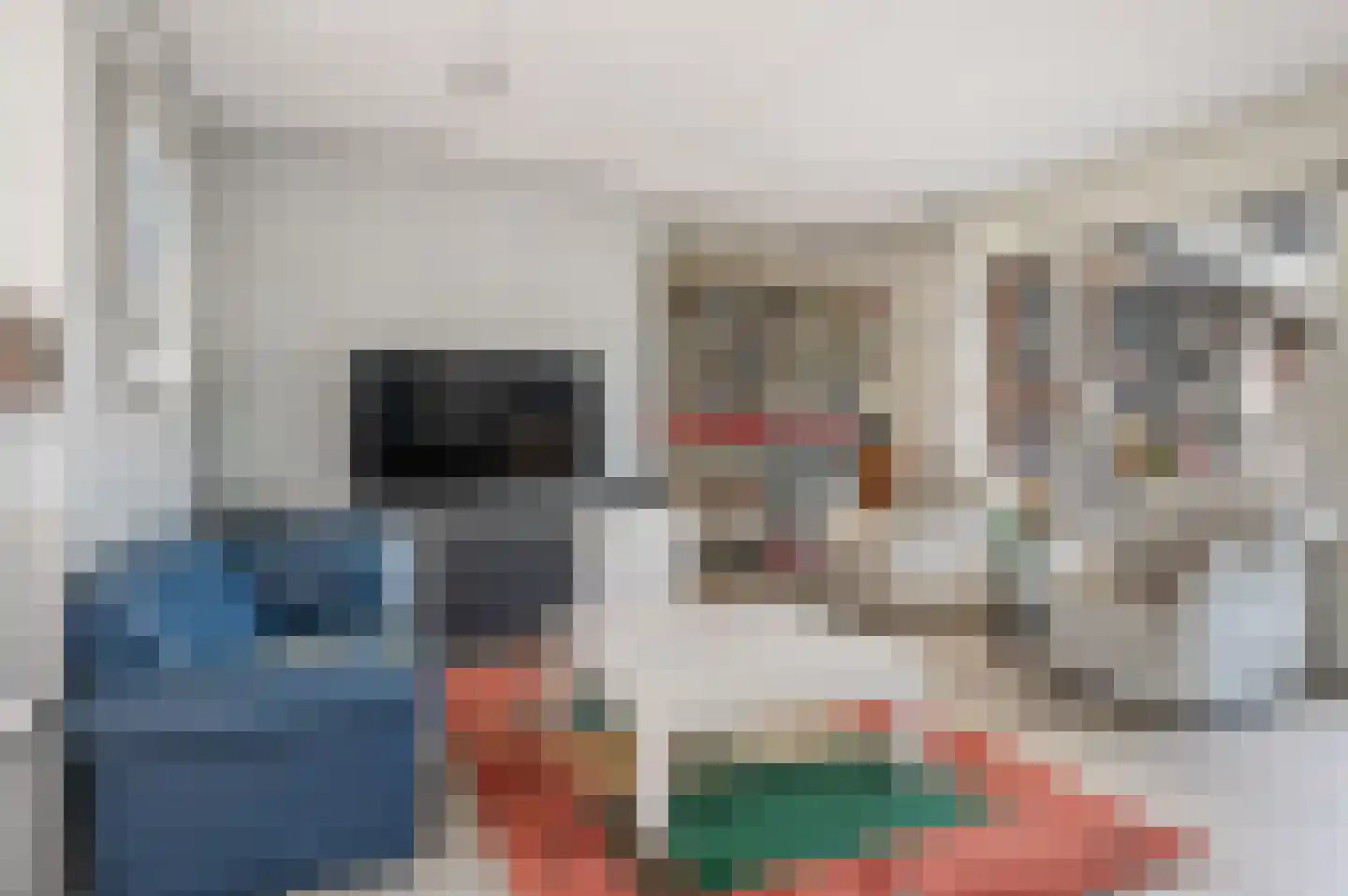 Hiltjesdamhof 16 Goor thumbnail 18