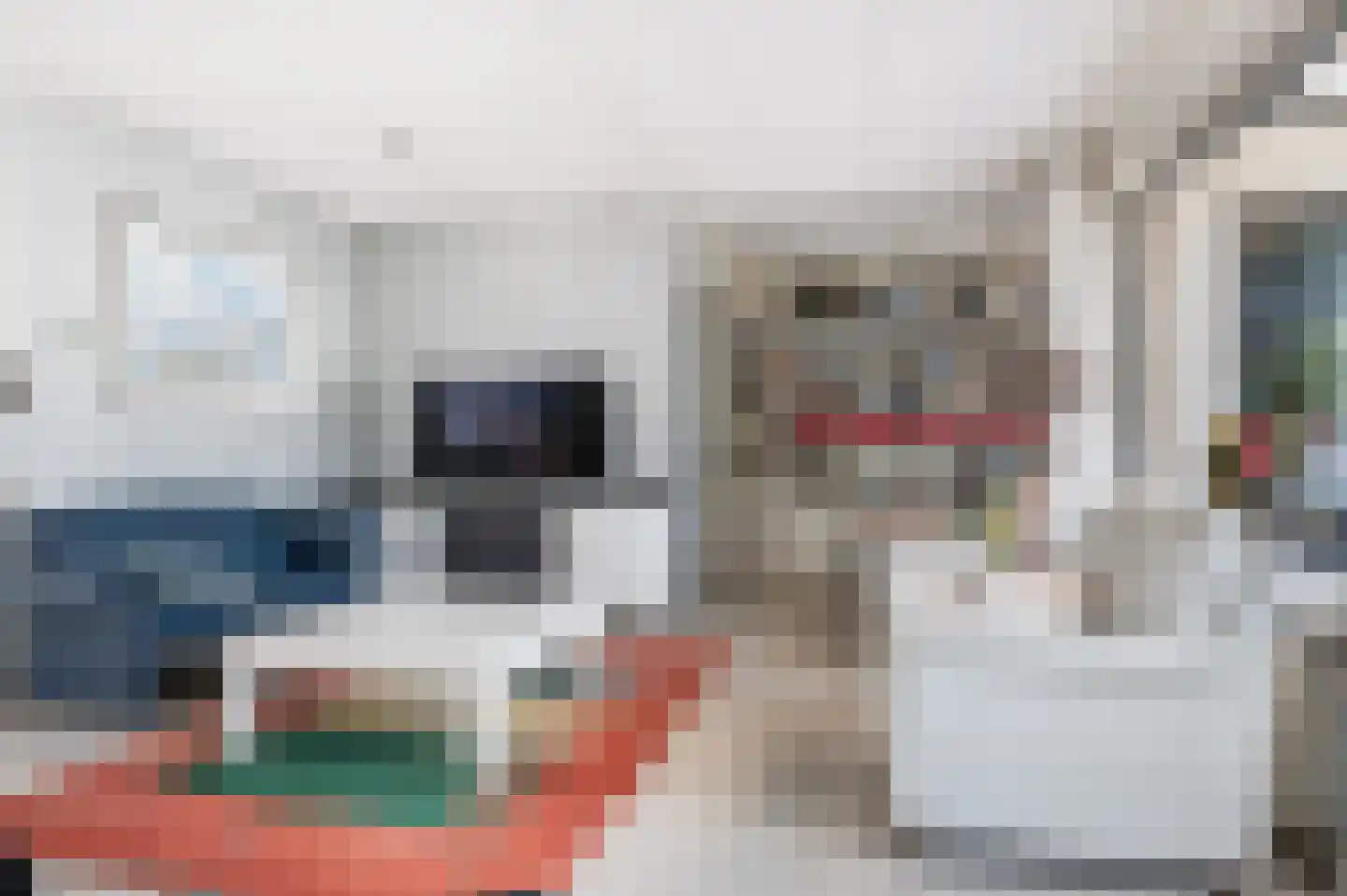 Hiltjesdamhof 16 Goor thumbnail 19