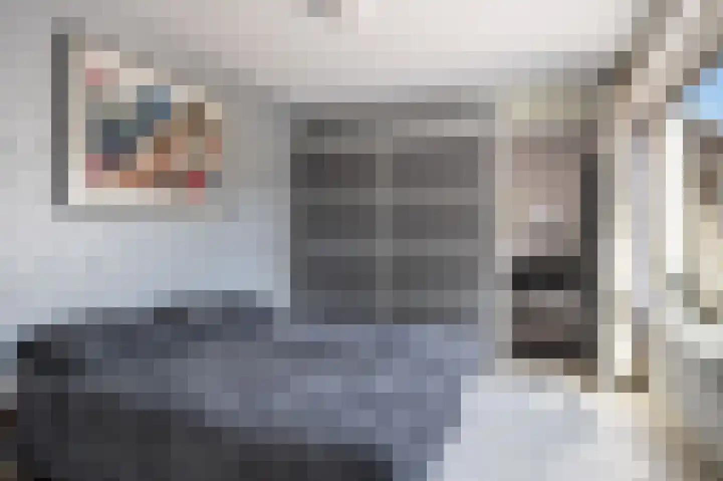 Hiltjesdamhof 16 Goor thumbnail 21