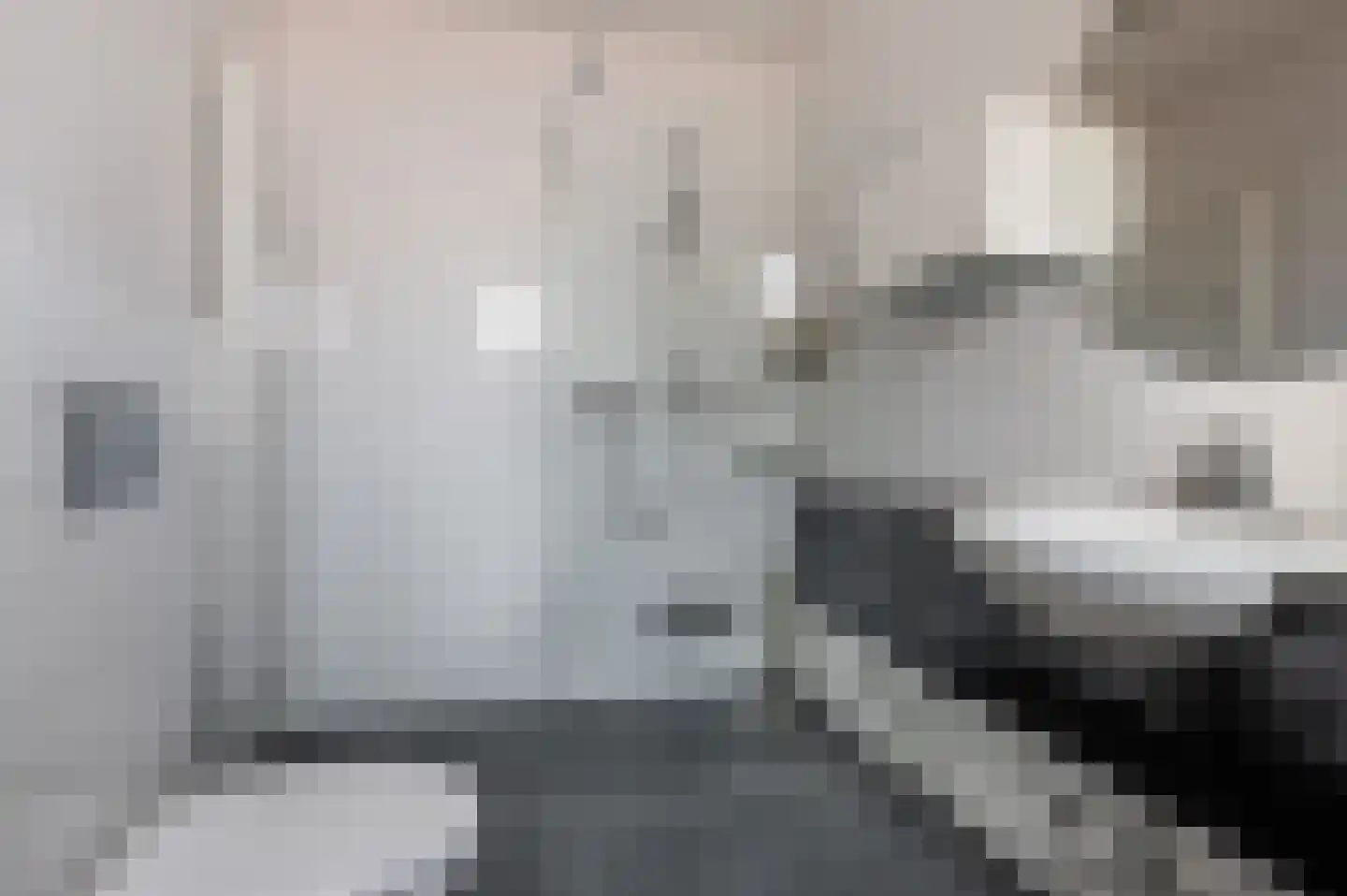 Hiltjesdamhof 16 Goor thumbnail 24