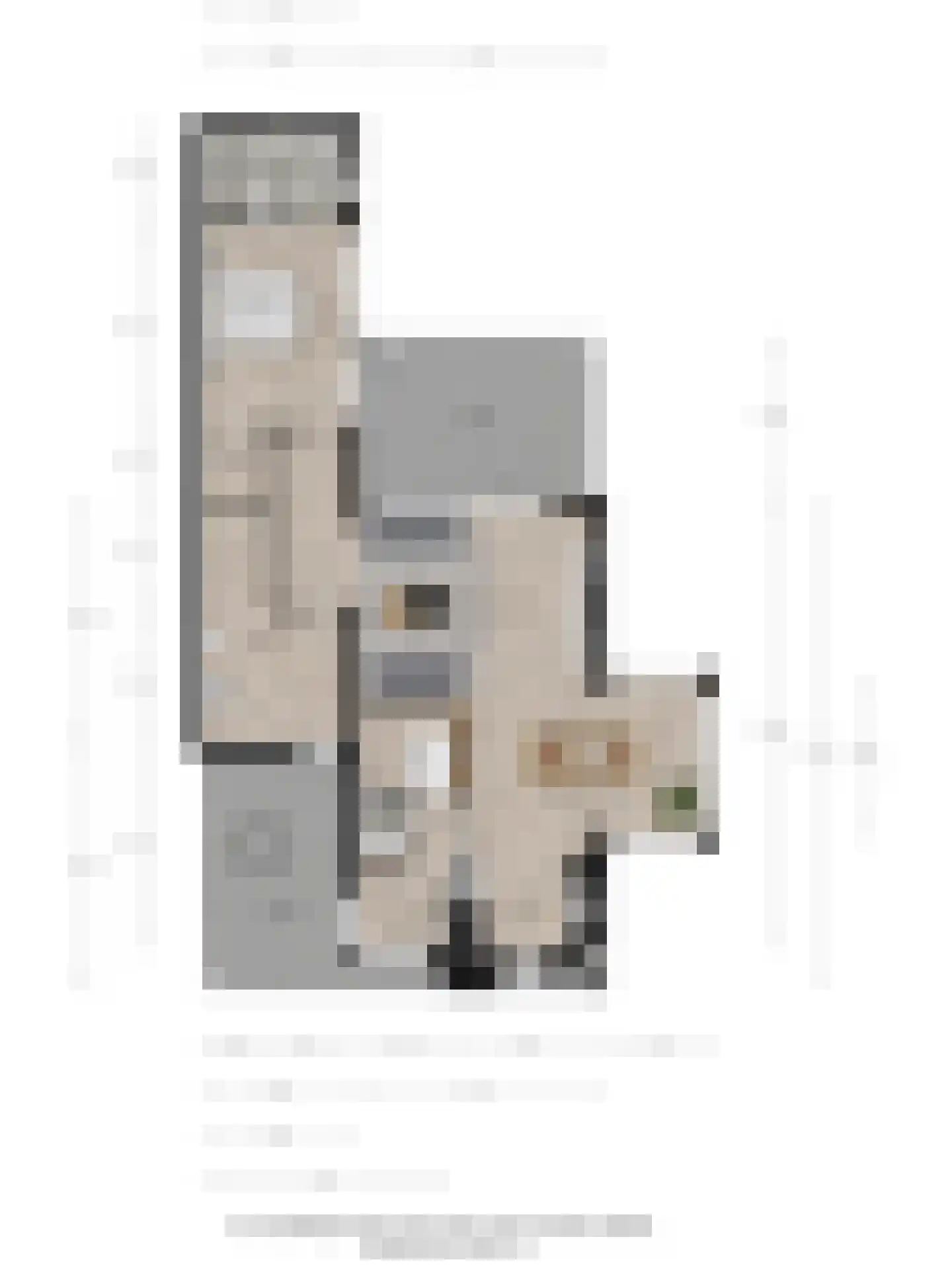Hiltjesdamhof 16 Goor thumbnail 36