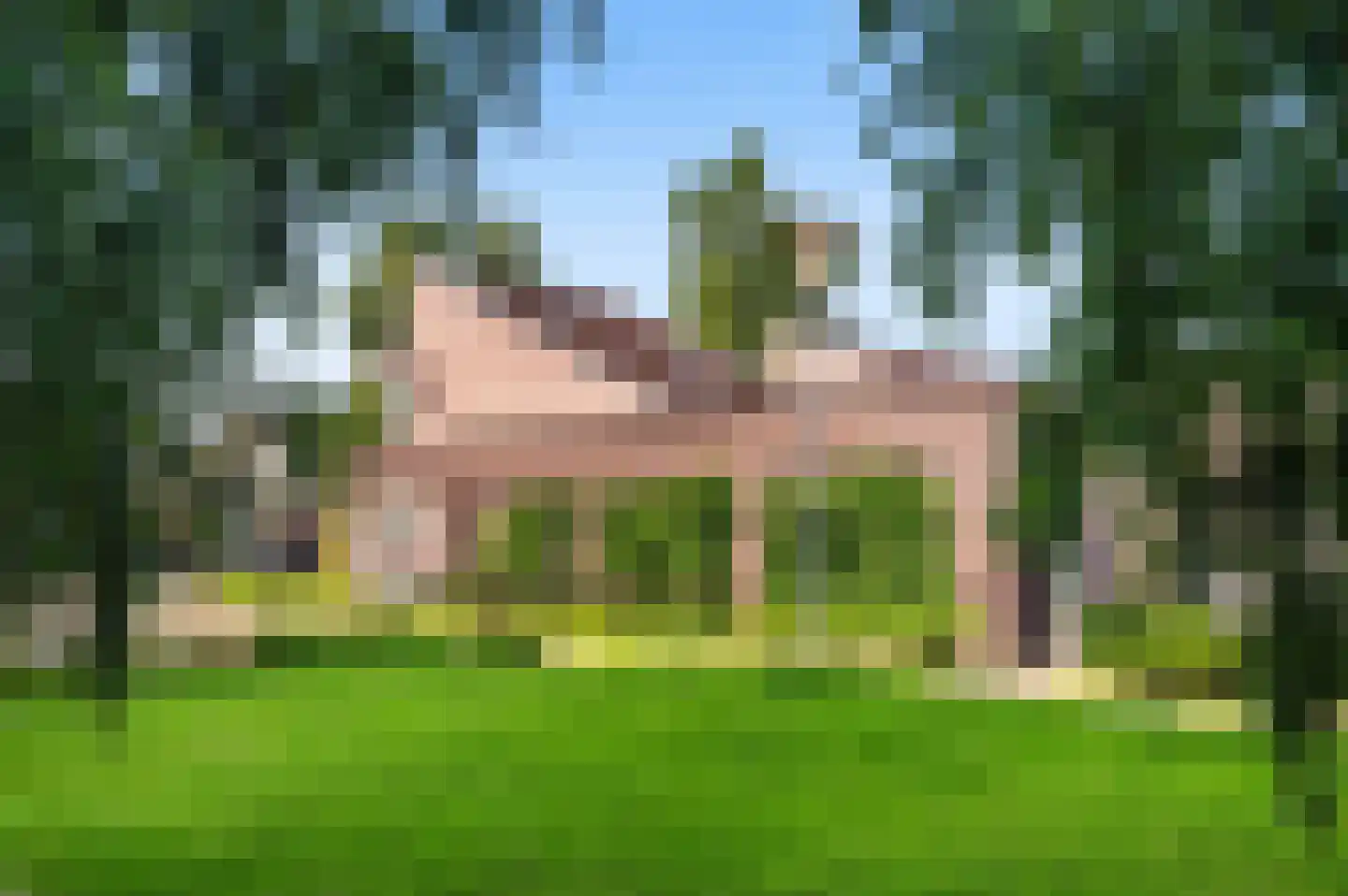 Hiltjesdamhof 16 Goor thumbnail 4