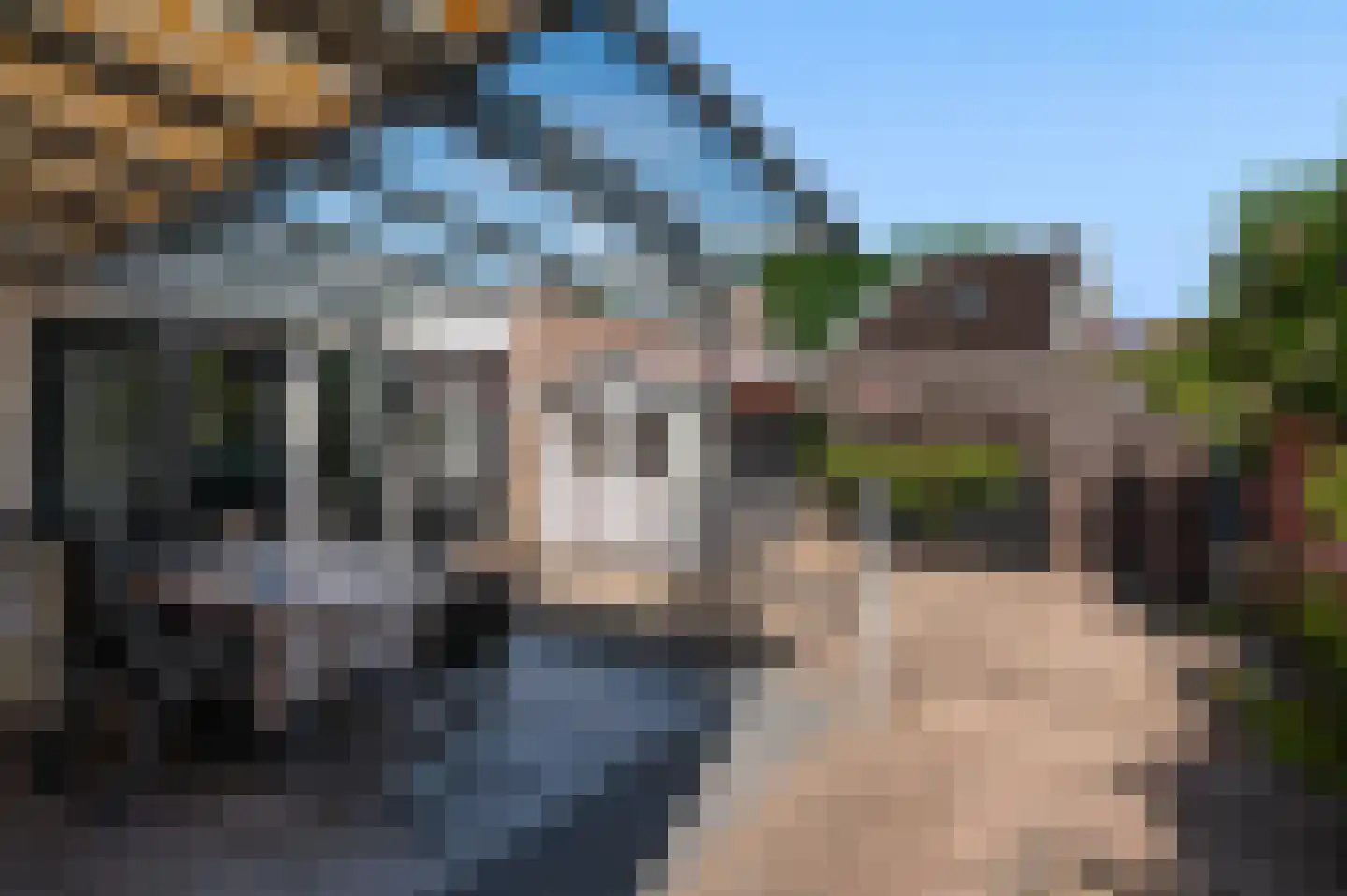 Hiltjesdamhof 16 Goor thumbnail 7