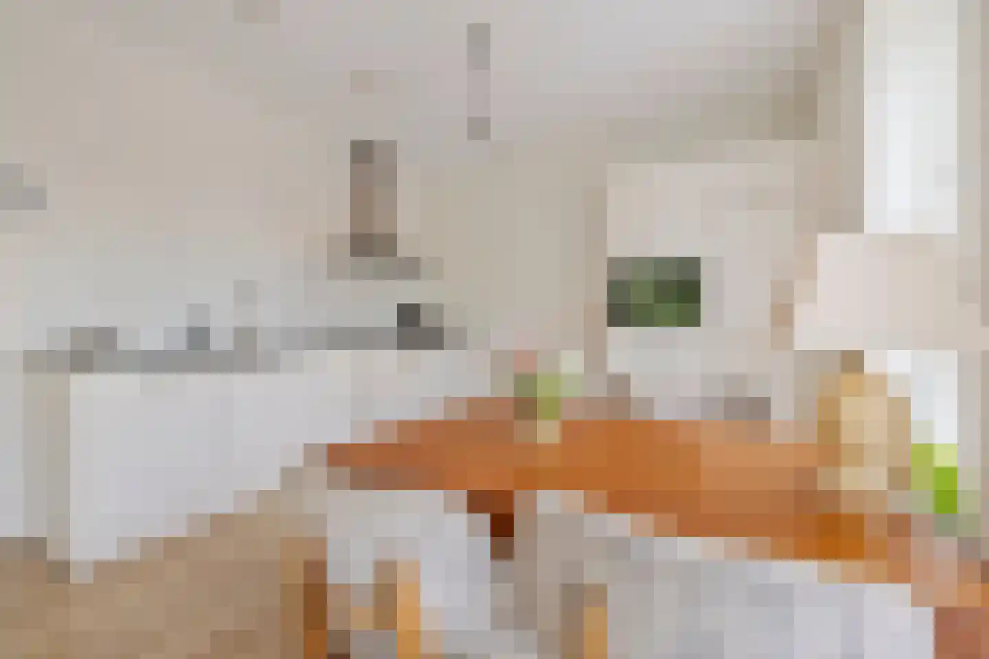 Hiltlaan 18 Eemnes thumbnail 18