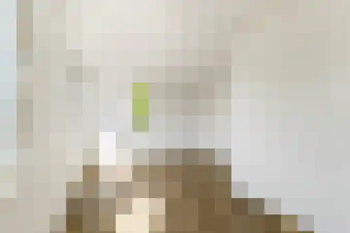 Hiltlaan 2 Eemnes thumbnail 15