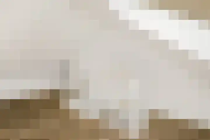 Hiltlaan 2 Eemnes thumbnail 31