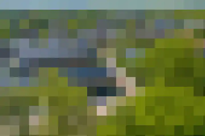 Hiltlaan 2 Eemnes thumbnail 41