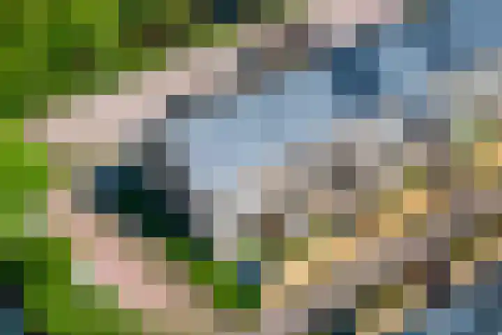 Hiltlaan 2 Eemnes thumbnail 42