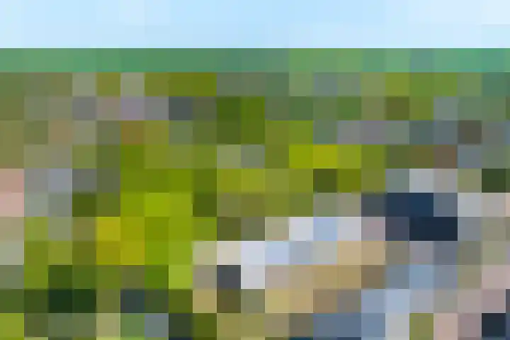 Hiltlaan 2 Eemnes thumbnail 43