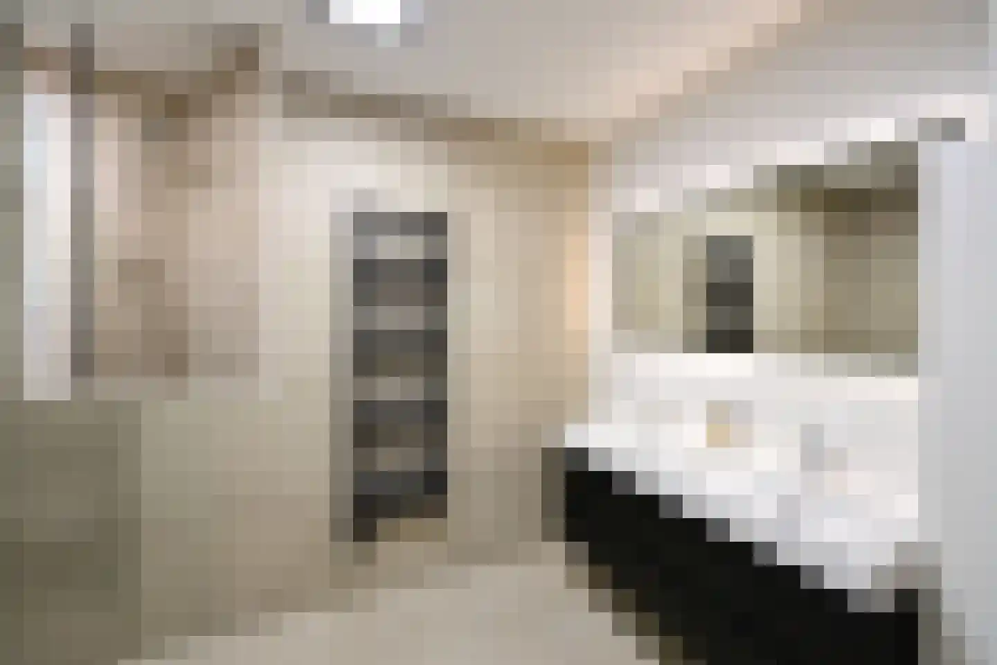 Hiltlaan 21 Eemnes thumbnail 18