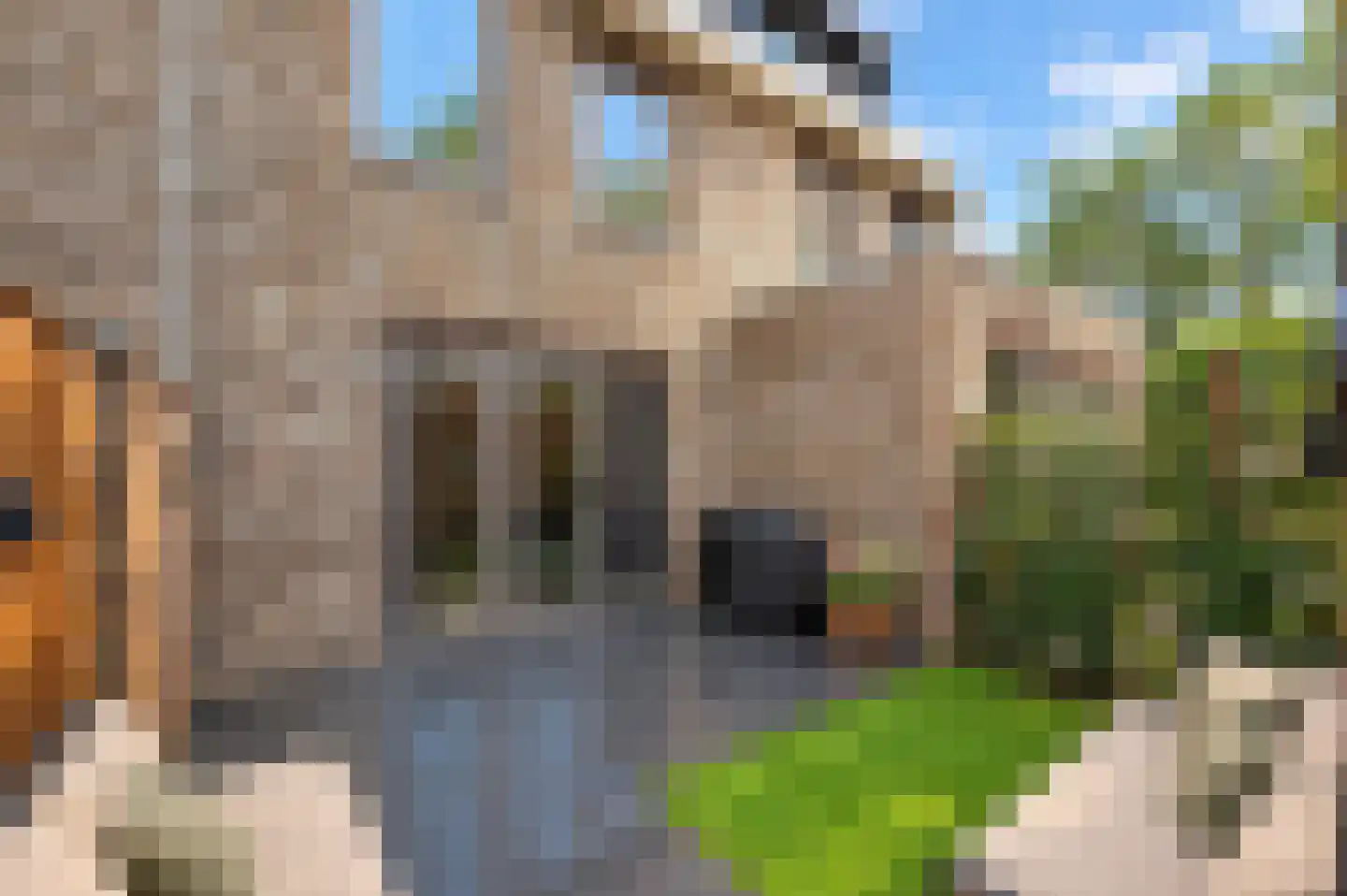 Hiltlaan 68 Eemnes thumbnail 20