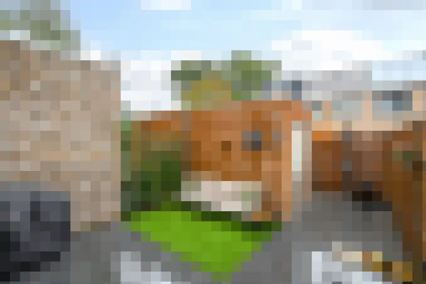 Hiltlaan 68 Eemnes thumbnail 22