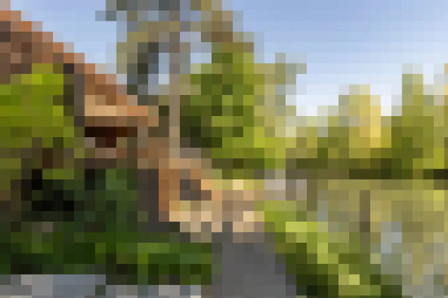 Hilverbeekstraat 32 Amsterdam thumbnail 13