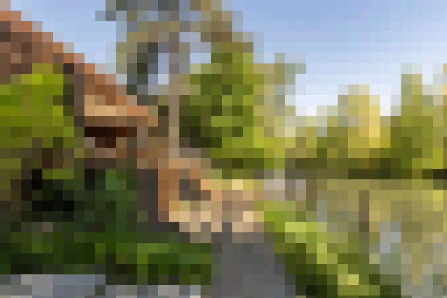 Hilverbeekstraat 32 Amsterdam thumbnail 15