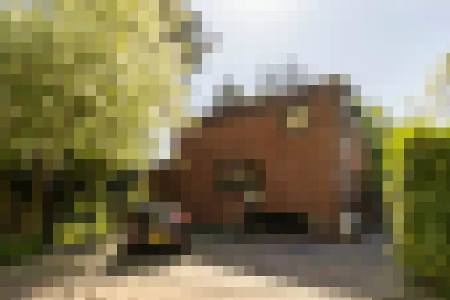 Hilverbeekstraat 32 Amsterdam thumbnail 4