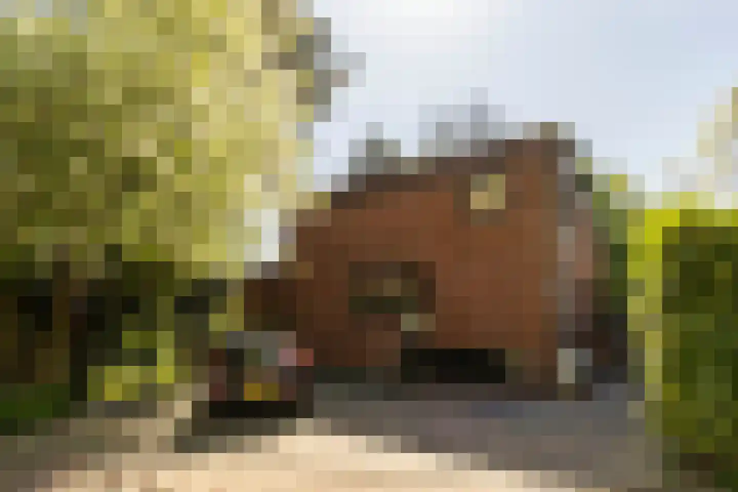 Hilverbeekstraat 32 Amsterdam thumbnail 4
